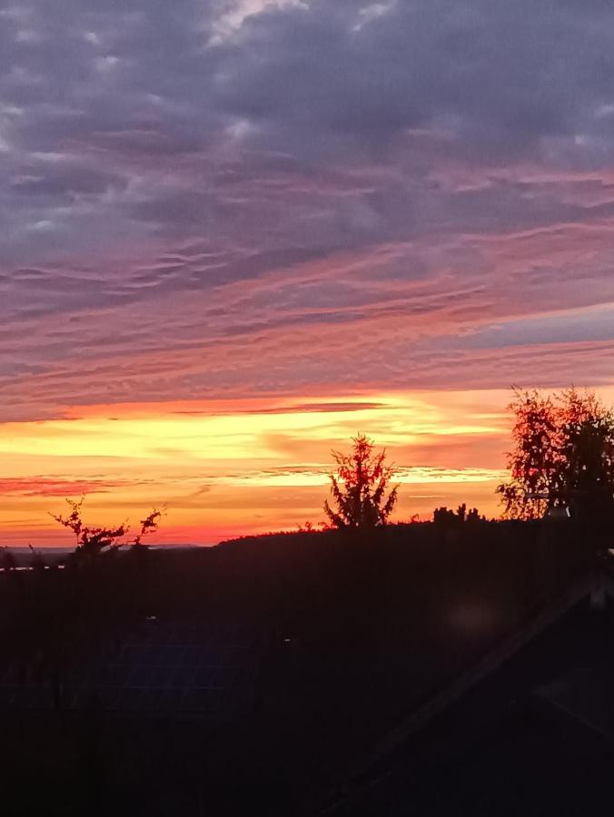 Ferienwohnung Hey Elgersburg Exteriör bild